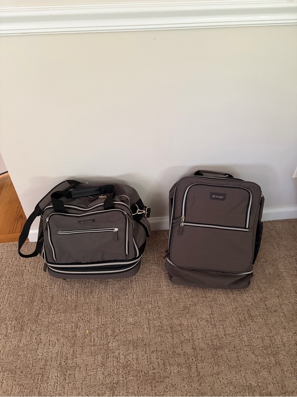 Biaggi carry cube backpack and Zipsack boost underseat carryon rolling tote